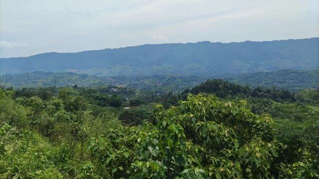 重庆北碚有一座濒临消失的古寨，寨主竟曾是美国总统罗斯福的同学