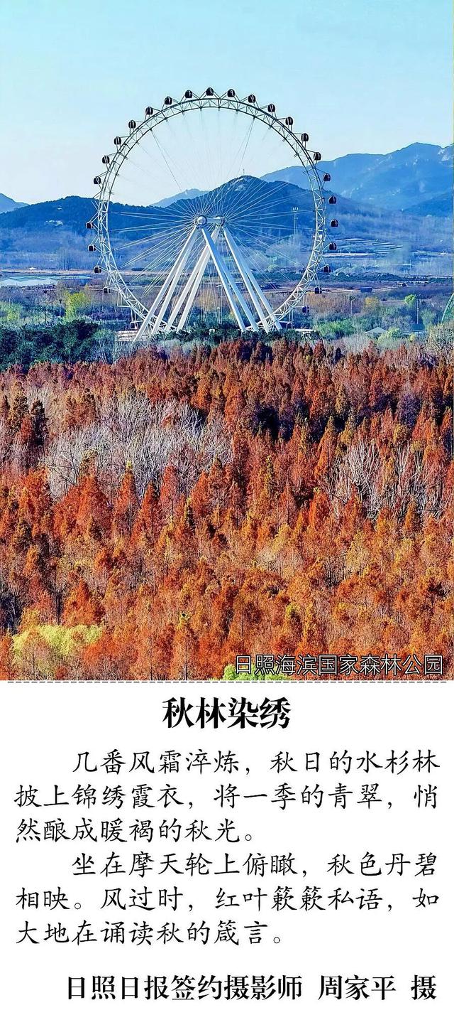 错过再等一年！日照这些地方超好看！随手一拍都是大片！