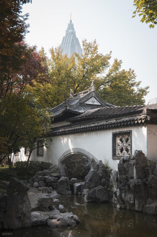 石象路银杏黄了！秋日南京必走的几条经典路线