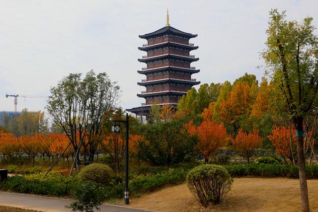 临沭开启“落叶缓扫”模式留住城市秋季美景