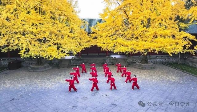 秋假去哪？崇州这些亲子游宝藏地不容错过