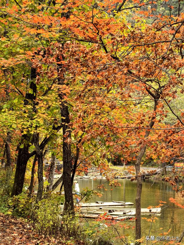 2025辽宁赏秋之旅日记(2)——游览丹东蒲石河森林公园