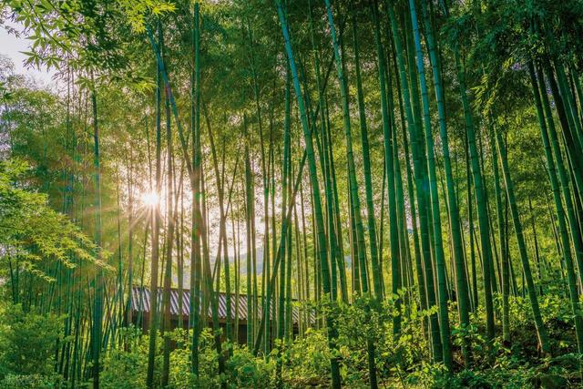溧阳景点排行榜，江苏溧阳值得一去的6个好玩景点，你去过几个？