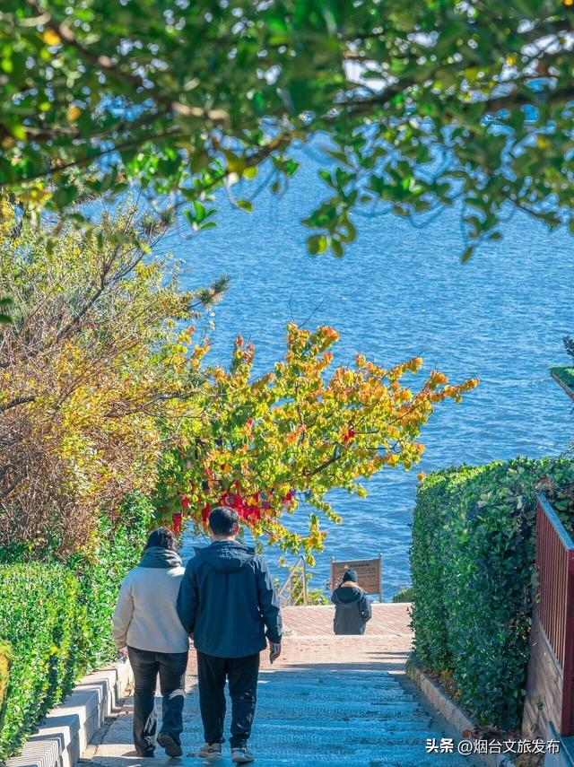 【乐游烟台】一键收藏！烟台山Parkwalk太太太出片啦~~