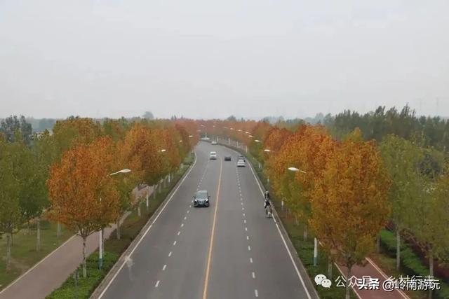 全部免费！渭河南河堤路赏秋攻略大全，那风景简直美爆了！