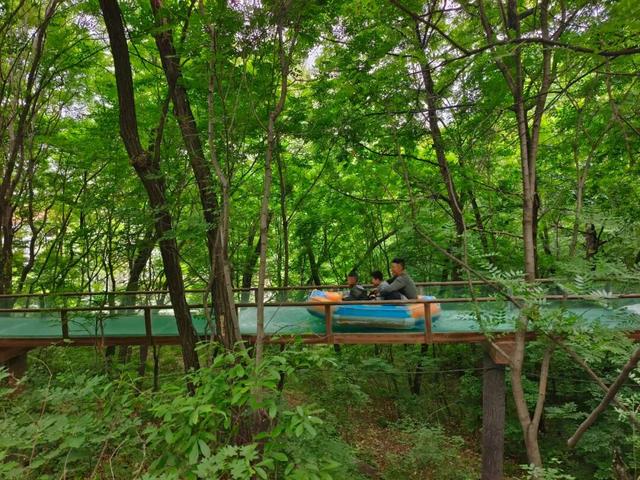 十一月二日，2025年第十七届枣庄市抱犊崮红叶季将盛大启动！