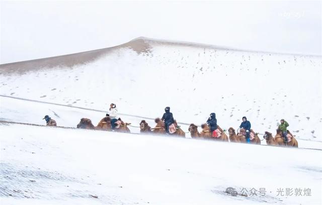 大漠敦煌2025年初冬雪景美如画
