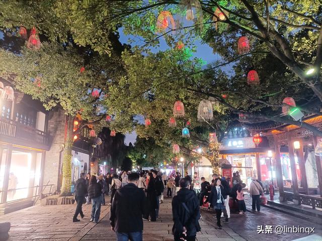 初到古都南京印象——金秋掠影