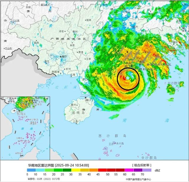 桦加沙的“双眼皮”有什么特殊之处
