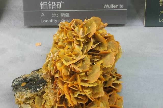 中国地质博物馆 地球密码的宝藏地