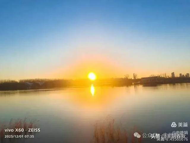 初冬北京朝阳坝河金盏淀：清寒里的静美画卷｜申艳娟