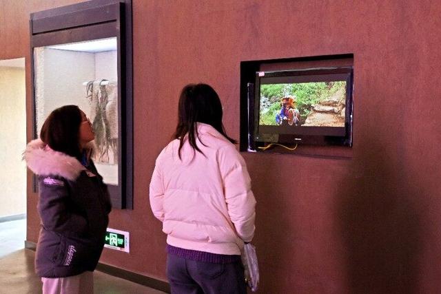 打卡中国羌族博物馆 感受羌族悠久历史文化