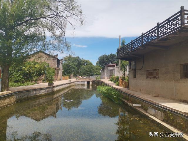庐陵文化寻访记（四）