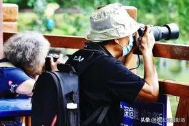 摄影越来越成为一种老年群体的爱好？图片