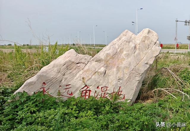 我的228 旅行日记 6——D14-15 盖州-营口
