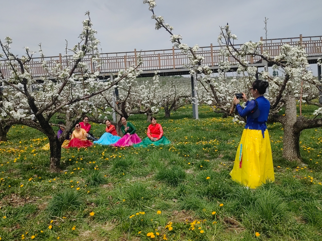 龙井：文化“活水”润边城 旅游“旺火”暖经济