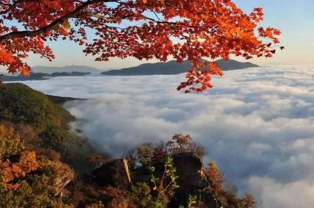 窗外是五花山！东北的这趟列车，当季要火！
