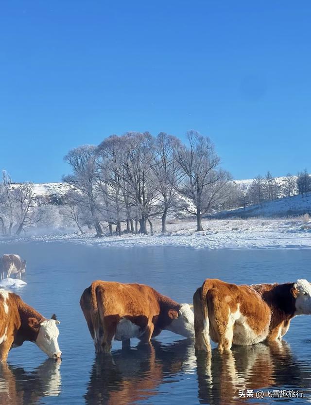 适合冬天一个人去的六个旅行地：与寒冷，也与自己温柔相拥