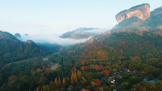 武夷山的“彩叶营业季”，美得正当时！