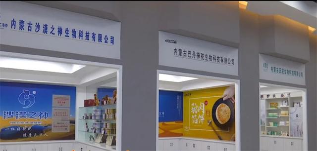 8月9日 敏洪内蒙之行带网友“云游”巴丹吉林沙漠，问道苍茫阿右旗