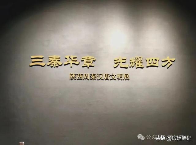 【西安游学之一】文博探秘：陕西历史博物馆