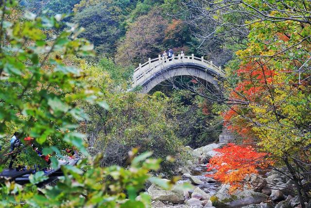 不藏了，美景天成：去辽宁这五处红叶佳景，体验最诗意的北国