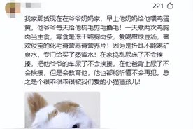 让人大开眼界！当代人类溺爱宠物猫的有趣现象，评论区笑不活了图片