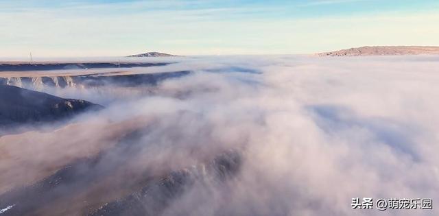 新疆峡谷雾气翻涌，如浓墨重彩画卷，大自然的神奇笔触令人惊叹