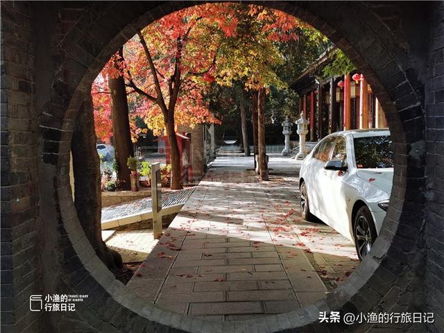 老西安私藏的赏秋秘境，免费、人少、秋色绝美！