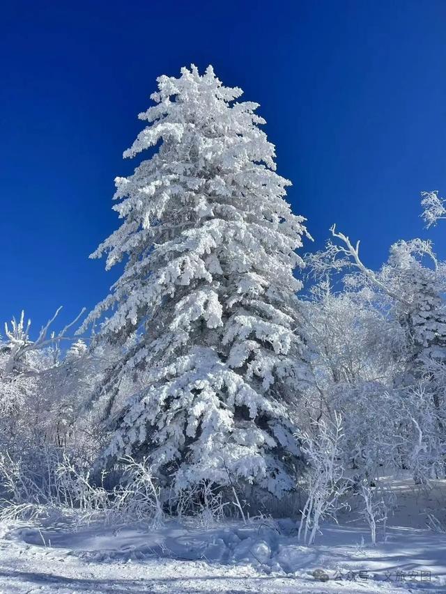等一场雪，念一座城！安图雪岭的冬日邀约
