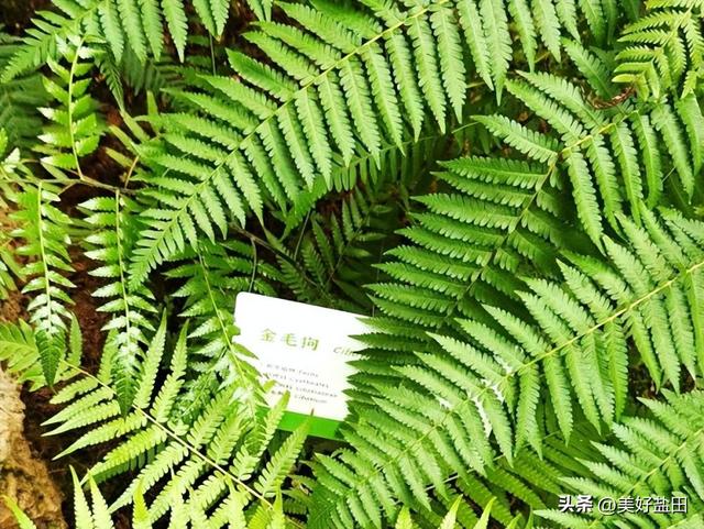 想去！华大时空中心遛娃攻略来啦！