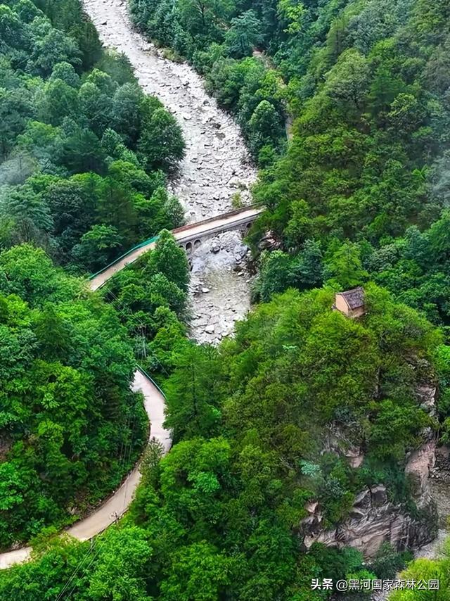绿野仙踪+山水秘境！快来黑河抓住夏天的尾巴，奔赴一场绿意清凉之约