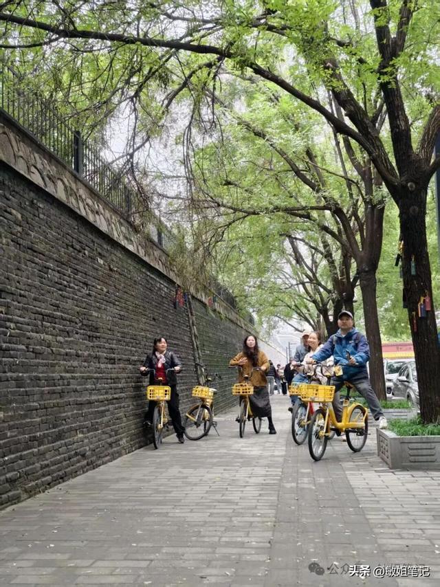 【西安游学之一】文博探秘：陕西历史博物馆