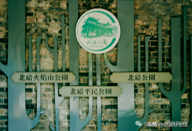 北碚公园竟是"大熊猫"命名地，原来藏着这么多秘密
