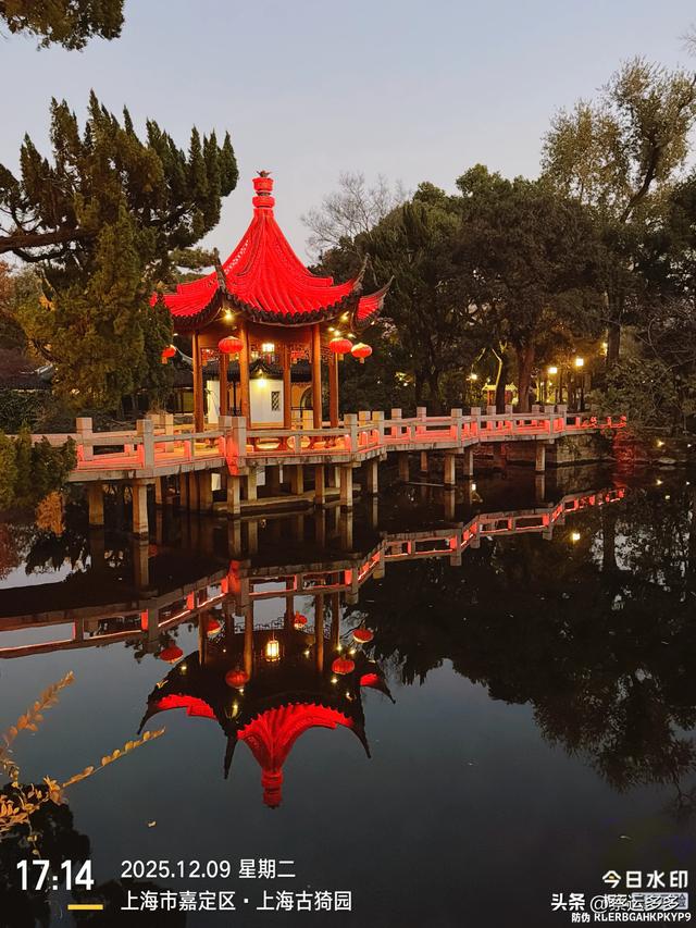 沪上园林古猗园已达颜值巅峰