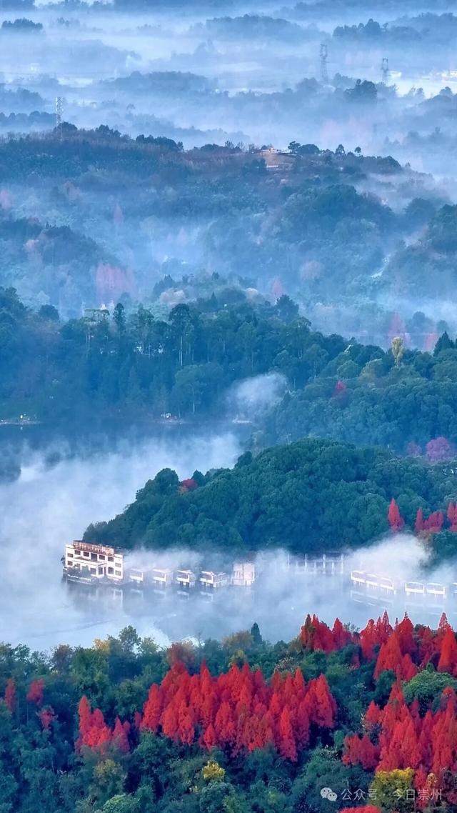 免费又出片！崇州初冬宝藏秘境，美到封神！