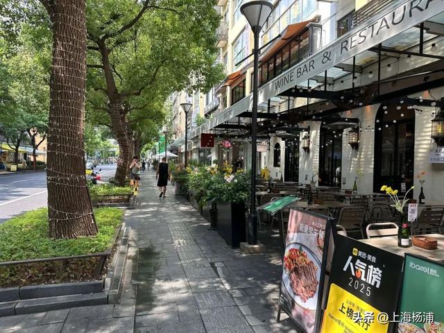 来杨浦“轧马路”！这条Citywalk路线藏不住了