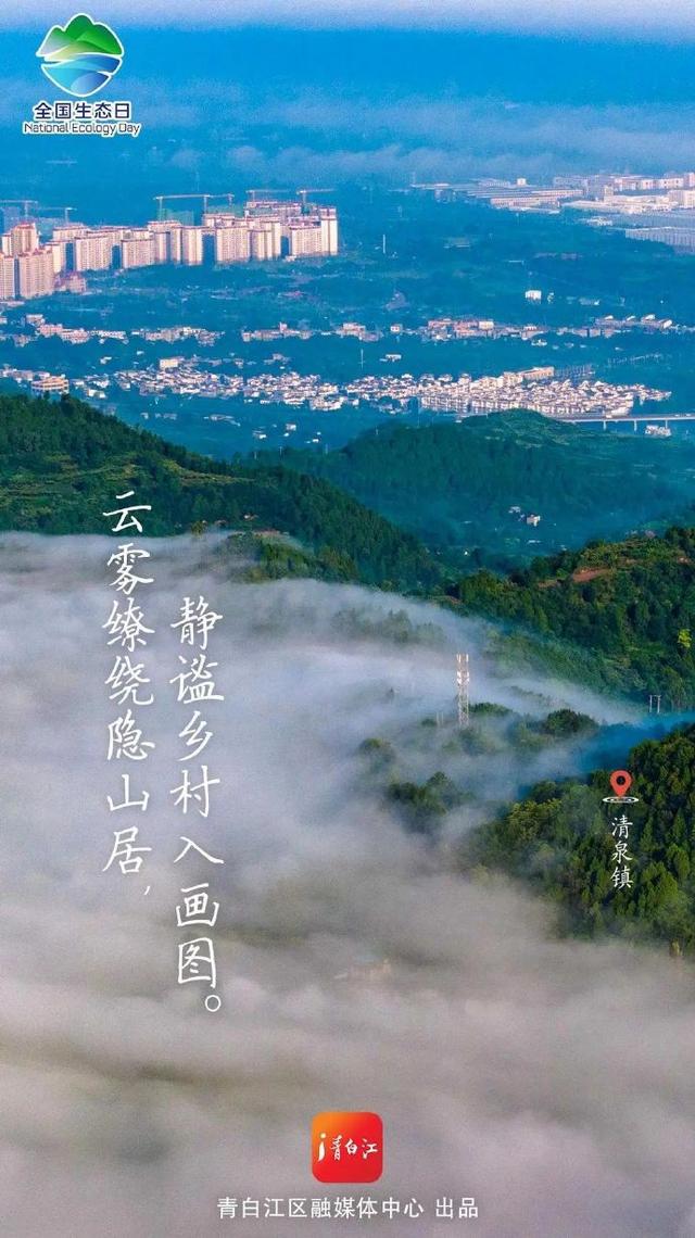 全国生态日 ，成都青白江邀你一起“森”呼吸~
