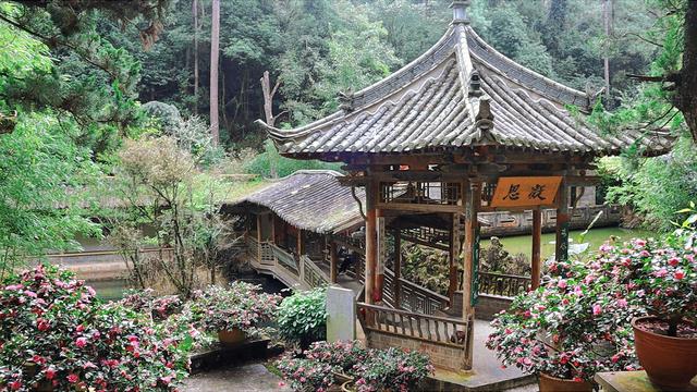 明代白龙寺，徐霞客到此一游，百年茶花，白龙盘锯而成潭