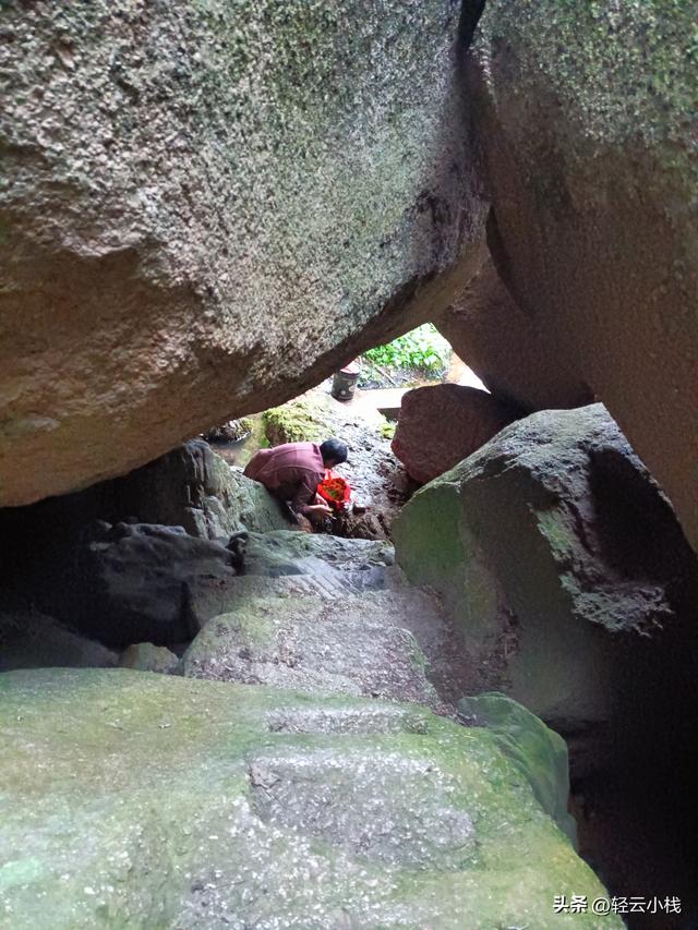 爬灵山石树感触到的（一）
