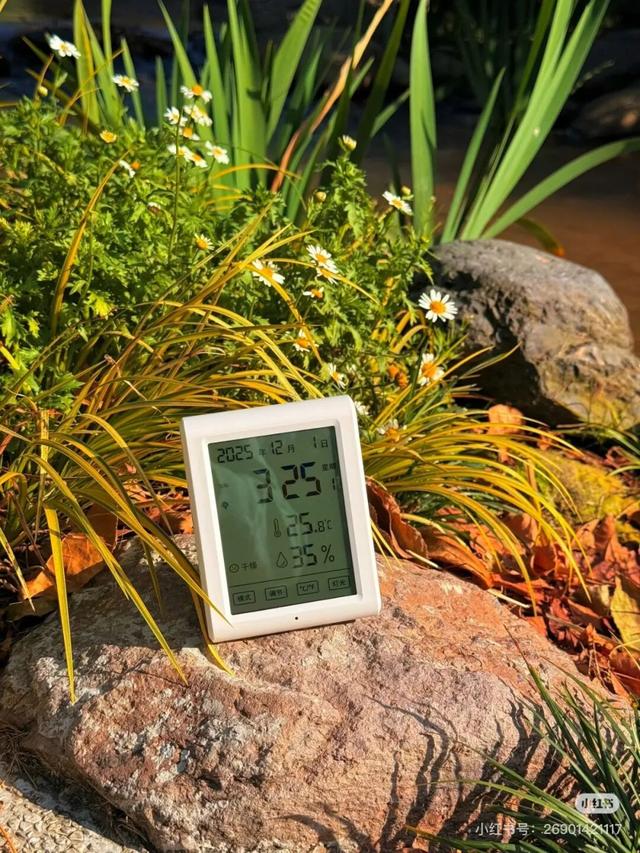 比西昌人少，比昆明更近！高铁直达20℃小众春城，赏花摘果泡温泉！3元草莓吃到撑~