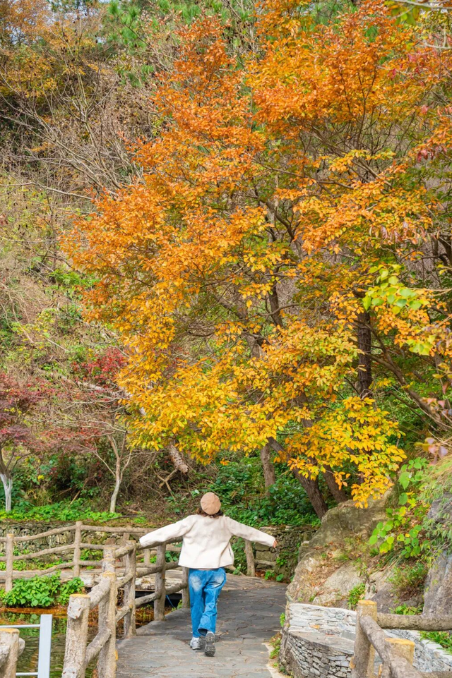 寒潮要来！黄陂最后的秋色等你来打卡！
