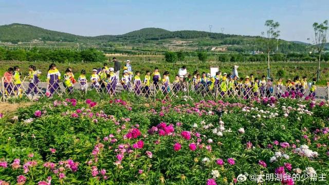 中医药、温泉、养生阿胶，济南的“康养密码”在这里！