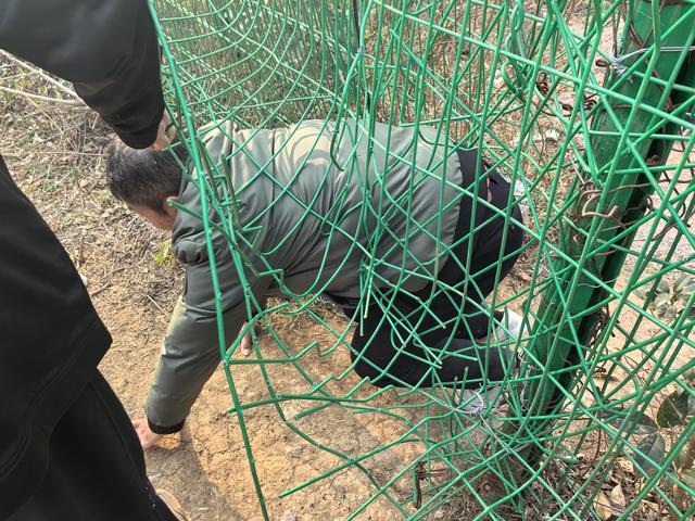 南京江宁大连山金陵四十八景之虎洞明曦，佘村丹霞山一日郊野徒步