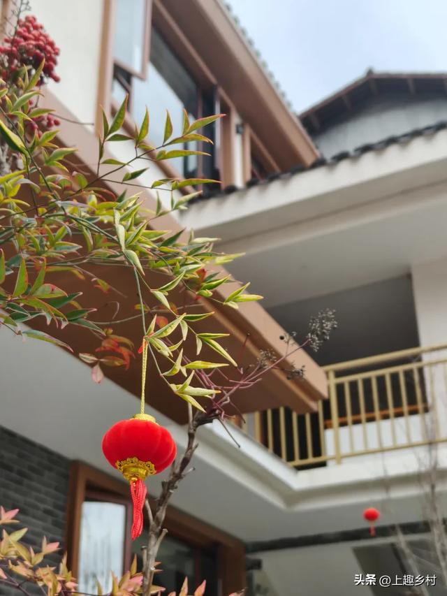 金色花海+花田咖啡+神仙民宿，这里成刷屏级春日目的地！