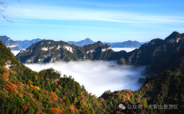 宝子你听我说，近期天气好、红叶美，光雾山可以冲了!