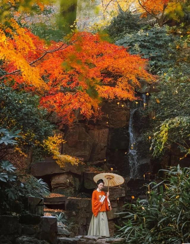来虎丘山，这里有你更好看！