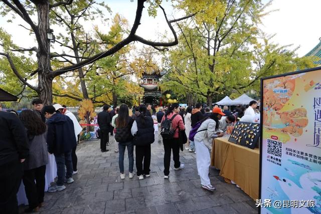 上榜十大热门目的地!年末错峰出游来昆明,观鸥赏杏,攻略都给你做好了~