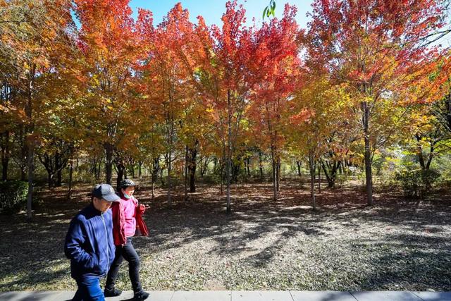 长春一5A级景区官宣：这些人免票！