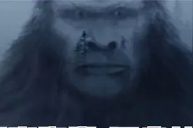 神农架野人真实存在证据曝光，人类进化史上最大谜团揭开！图片